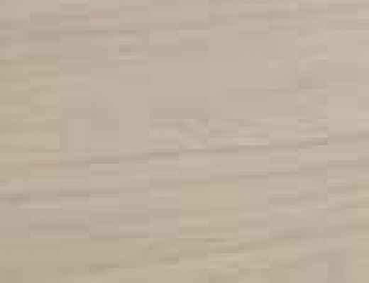 salgar-couleur-nordick.jpg -