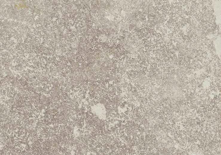always-grigio.jpg -